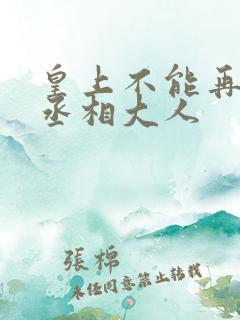 皇上不能再进了丞相大人