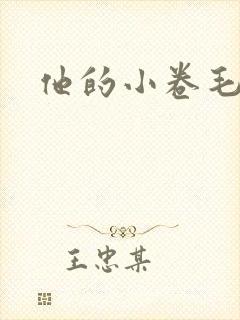 他的小卷毛