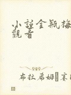 小说金瓶梅在线观看