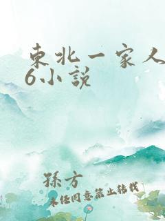 东北一家人1一6小说