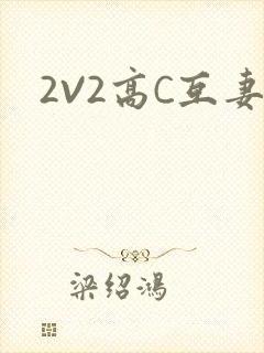 2V2高C互妻