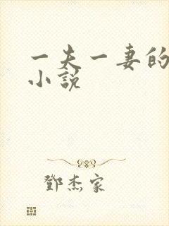 一夫一妻的玄幻小说