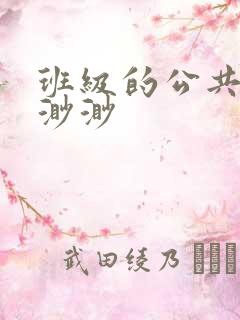 班级的公共玩具渺渺