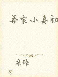 吾家小妻初养成