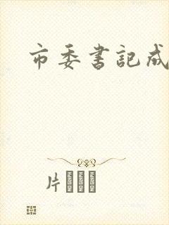 市委书记成长记