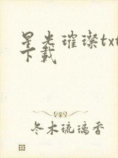 星光璀璨txt下载