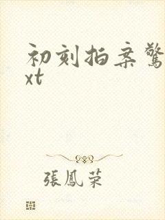 初刻拍案惊奇txt