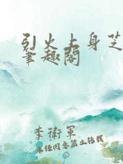 引火上身芝麻糖笔趣阁