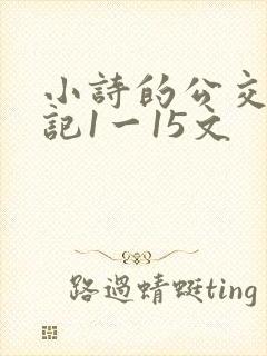 小诗的公交车日记1一15文