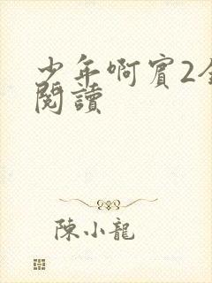 少年啊宾2全文阅读