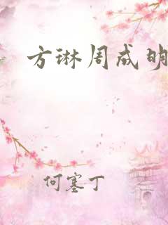 方琳周成明小说