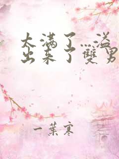 太满了...溢出来了双男动漫