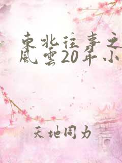 东北往事之黑道风云20年小说