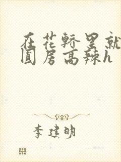 在花轿里就开始圆房高辣h