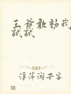 王爷敢动我妈咪试试