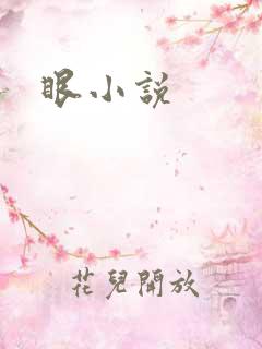 眼小说