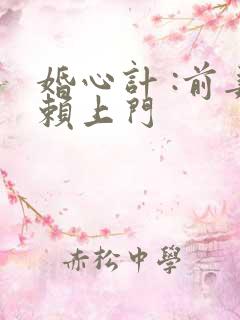 婚心计 :前妻赖上门