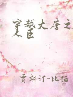 穿越大唐之位极人臣