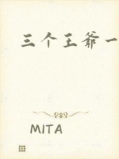 三个王爷一个妃