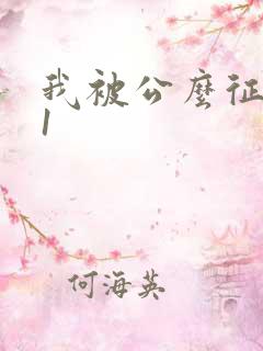 我被公么征服了1