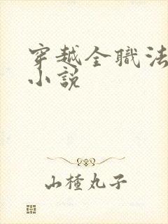 穿越全职法师的小说