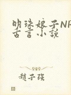 明珠娘子NPC古言小说
