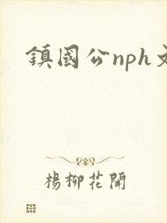 镇国公nph文