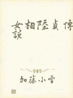 女相陆贞传奇小说