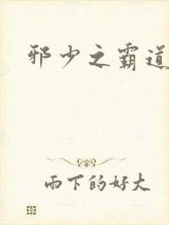 邪少之霸道娇妻