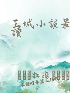 王城小说最近阅读