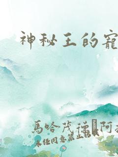 神秘王的宠姬