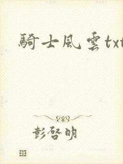 骑士风云txt