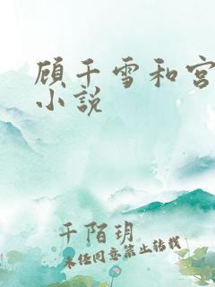 顾千雪和宫凌沨小说