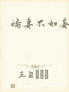娇妻不如妾