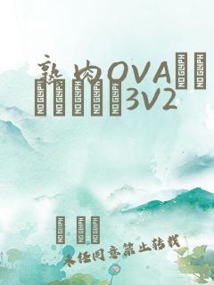 熟肉OVAちゃんはしたい3V2