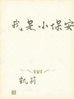 我是小保安