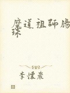 魔道祖师肠道串珠