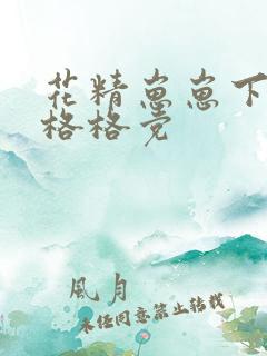 花精崽崽下山了格格党
