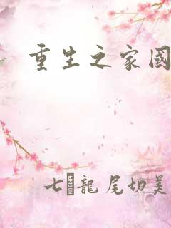 重生之家国天下