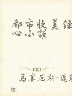 都市收美录宁素心小说