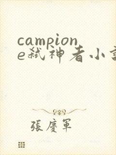 campione弑神者小说