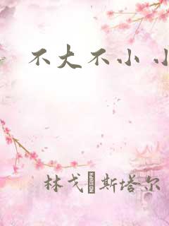 不大不小 小说