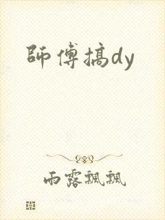 师傅搞dy