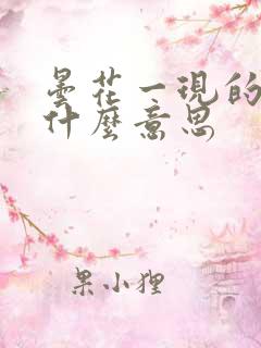 昙花一现的现是什么意思