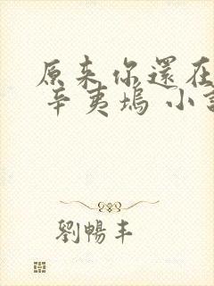 原来你还在这里 辛夷坞 小说