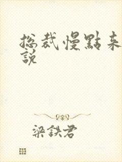 总裁慢点来 小说