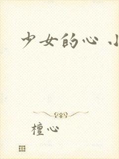 少女的心 小说