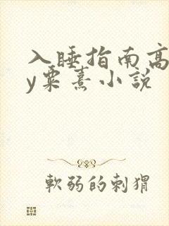 入睡指南高干by粟熹小说