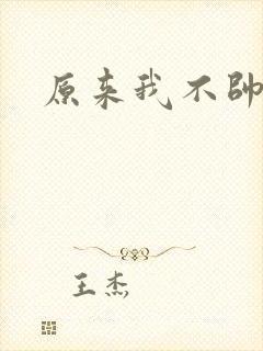 原来我不帅小说