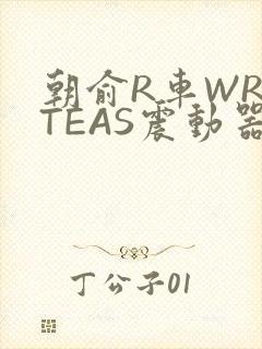 朝俞R车WRITEAS震动器